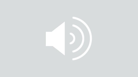 Lautsprechersymbol zum Abspielen von Audiomitschnitten